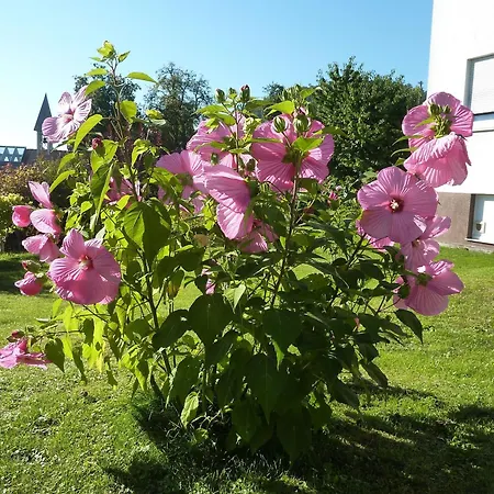 Haus Brigitte Apartament *